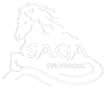 Saga Svendborg