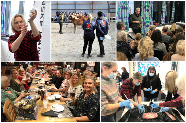 Kollage events efterår 2022